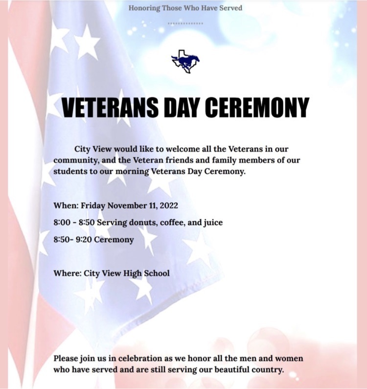 Veterans Day ceremony 
